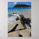 Search for antigua posters Beach
