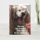 Search for attorney birthday cards Dog