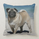 Recherche de carlin faon coussins Balais