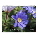 Recherche de pays bas photographie Fleurs