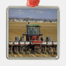 Search for corn ornaments Food