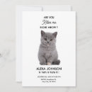 Search for fluffy cat invitations Adorable
