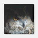 Recherche de duc magnets Aviaire