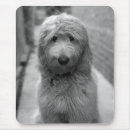 Search for goldendoodle mousepads Cute