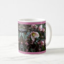 Search for hellebore mugs Plant