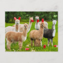 Search for red cup invitations Cute