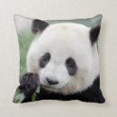 Search for giant panda pillows Cute