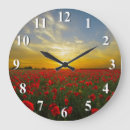 Recherche de poppy horloges Flowers