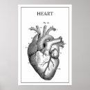 Search for anatomical heart art Doctor