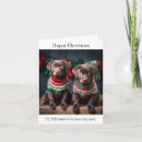 Search for chocolate labrador christmas cards Labradors