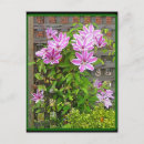 Search for clusters postcards Flowers
