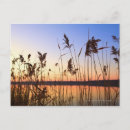 Search for lakeside postcards Landscape