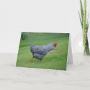 Search for fowl cards invites Farm