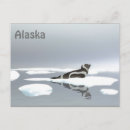 Recherche de ruban cartes postales Personnalisation