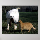 Recherche de chat dans les bottes posters Pour tous