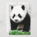 Recherche de chengdu vœux cartes Province du sichuan
