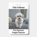 Search for doggy daycare Doggie