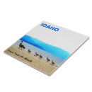 Recherche de oies carreaux Faune