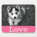 Search for siberian mousepads Puppy