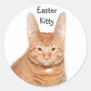 Recherche de oreilles de chat autocollants Lapin