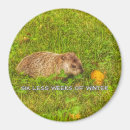 Search for less magnets Humour