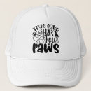 Search for four hats Dog