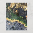 Recherche de main forme cartes postales Pour lui