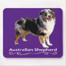 Recherche de berger australien tapis souris Mignon