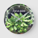 Search for hen clocks Nature