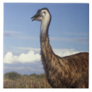 Search for western tiles Nature