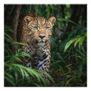 Search for green leopard posters Jungle
