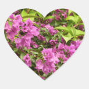 Search for bougainvillea stickers Tropical