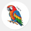 Search for exotic pet stickers Parrot