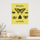 Recherche de papillon vintage posters Nature