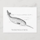Search for narwhals postcards Sea