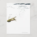 Recherche de reptiles cartes postales Faune