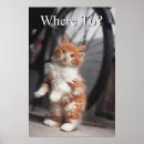Search for kitten posters Pets