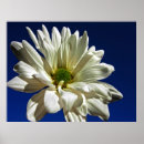 Search for beautiful easter posters Floral