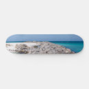 Search for shell skateboards Coastal