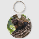 Search for small monkey keychains Animal