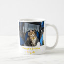 Recherche de poussette tasses Chats
