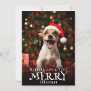 Search for funny santa cards Cute