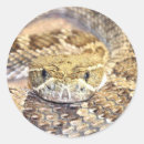 Recherche de sonnette autocollants Reptile