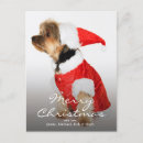 Search for yorkshire christmas cards Cute