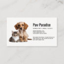 Search for cat breeder business cards Kitty
