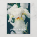 Recherche de gouttelette cartes postales Botanique