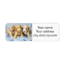Search for goldendoodle return address labels Cute