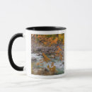 Search for maple tree mugs River
