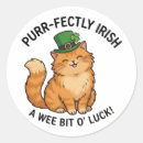 Search for funny cute irish leprechaun stickers St patrick's day