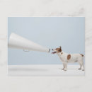 Recherche de canin autres Chiots mignons
